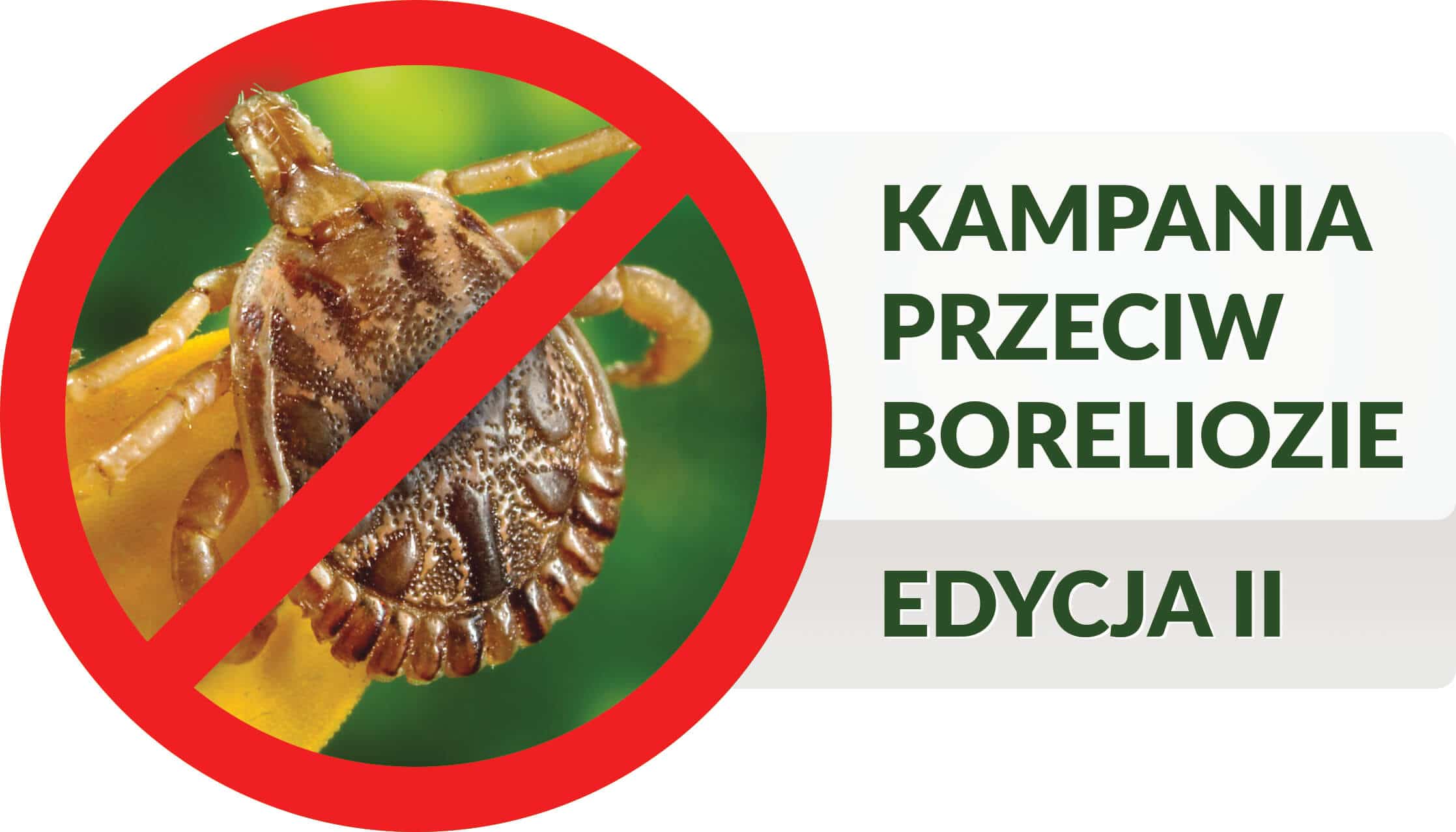 Borelioza kampania