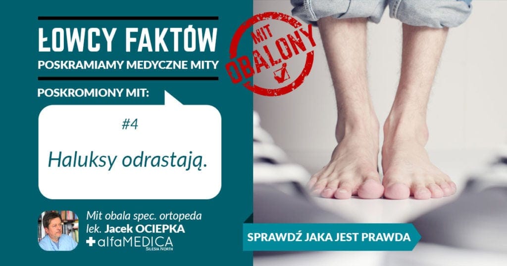 łowcy faktów